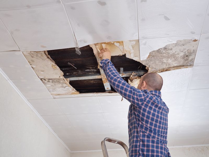 Apartment Ceiling Repair in Alpharetta, GA